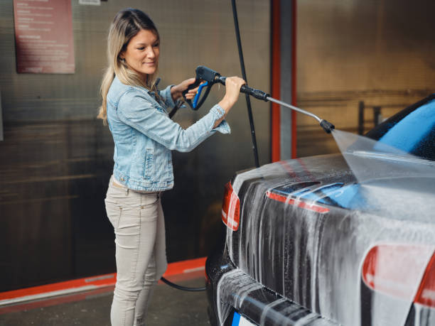 Best Affordable Power Washing  in Westville, IN